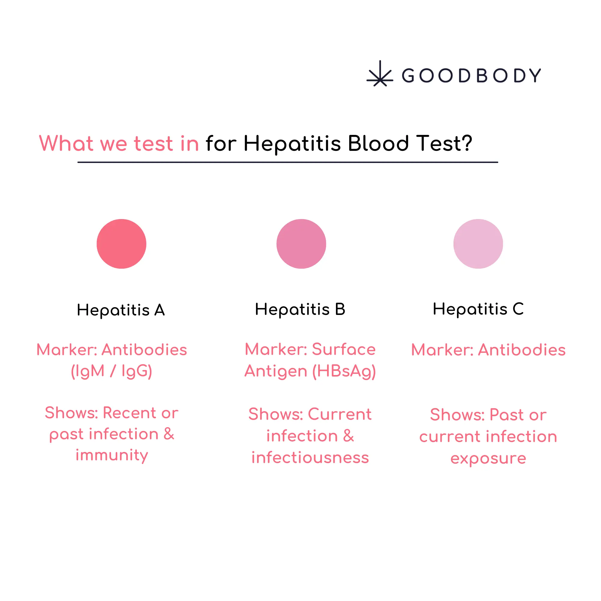 Hepatitis Screening Blood Test - Image 3